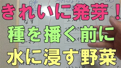 種水|プロ有機農家が教える種を播く前に水につける野菜210321